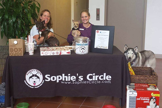 Team members volunteering with Sophie's Circle