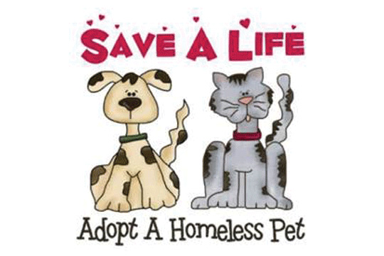 Save a life adopt a homeless pet flyer