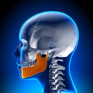 Cutaway diagram of clenched jaw